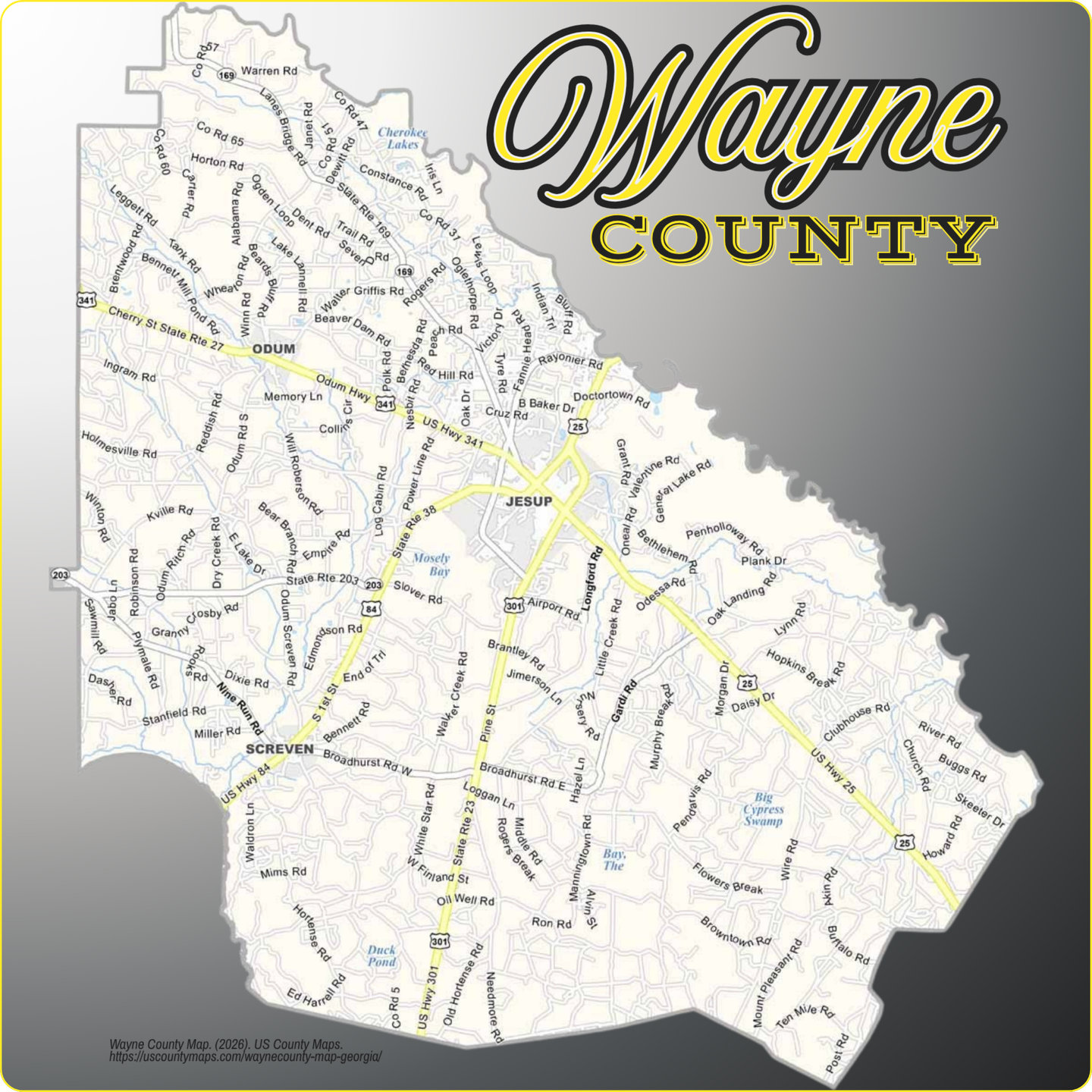 Map of Wayne County, Georgia, showing its towns