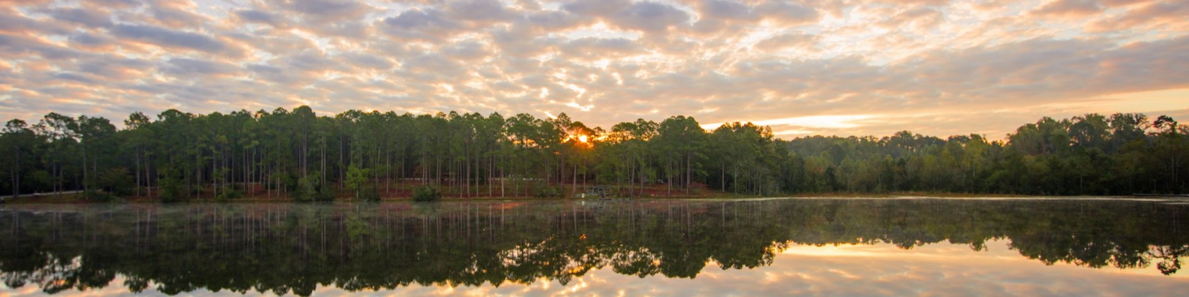 Pine trees reflected in still water under a sunrise sky near Reidsville, Georgia